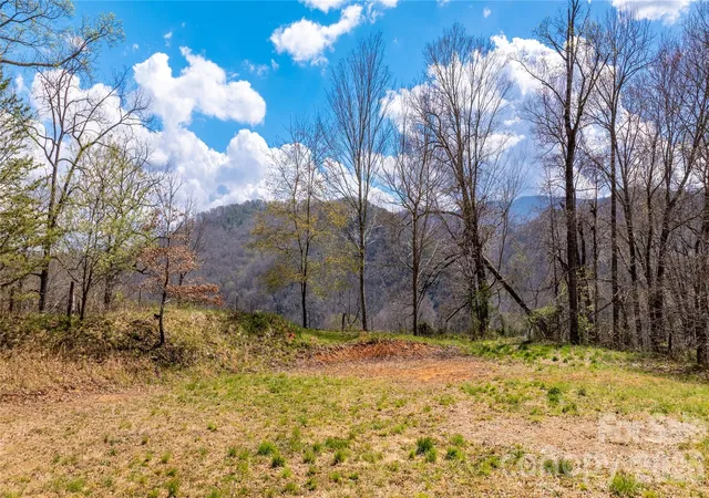 1st image of 90 Last Coyote Trl, Canton, NC 28716 | MLS# 4366876