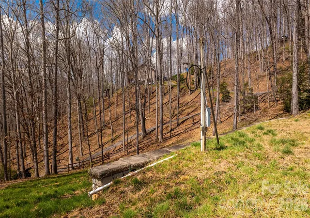 17th image of 90 Last Coyote Trl, Canton, NC 28716 | MLS# 4366876