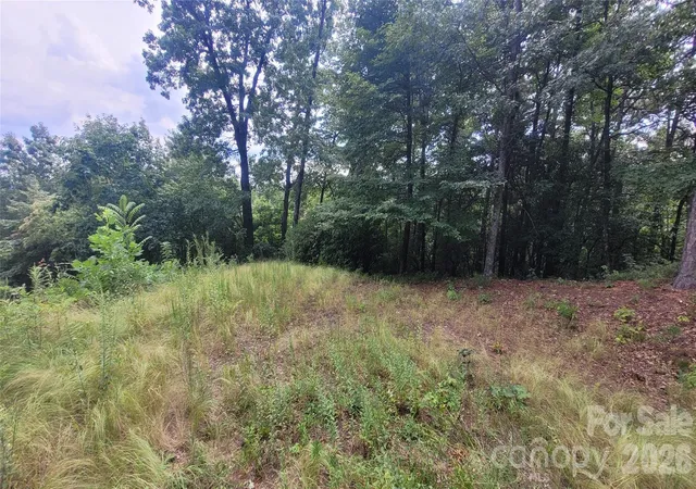 Photo 3 of Land for sale at 542 & 545a Mckenzie Way S #542 & 545, Old Fort, NC 28762 | MLS# 4366890 | Listing updated on 2026-08-24