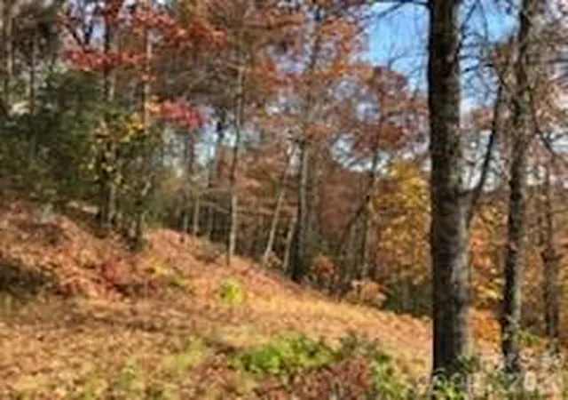 Photo 4 of Land for sale at 542 & 545a Mckenzie Way S #542 & 545, Old Fort, NC 28762 | MLS# 4366890 | Listing updated on 2026-08-24
