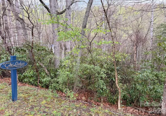 Photo 2 of Land for sale at 000 Ridgeview Dr, Hendersonville, NC 28792 | MLS# 4366907 | Listing updated on 2026-07-30