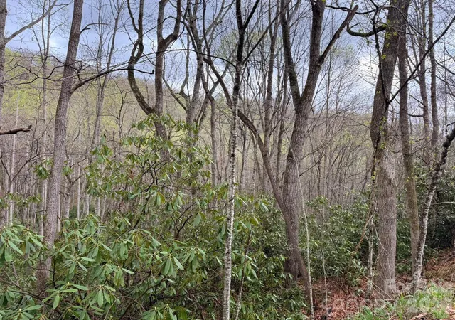 Photo 2 of Land for sale at 000 Ridgeview Dr, Hendersonville, NC | MLS# 4366907 | Listing updated on 2026-10-13