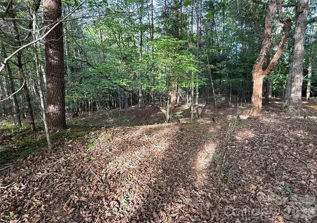 Homes for sale in Spindale, NC | 0 Shenandoah Dr #3B, Spindale, NC 28160 | MLS# 4367020