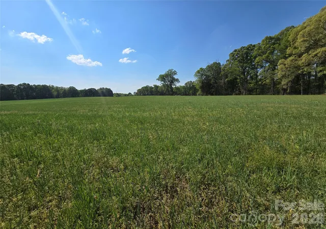 3rd image of 0 Nc 801 Hwy, Mt Ulla, NC 28125 | MLS# 4367052