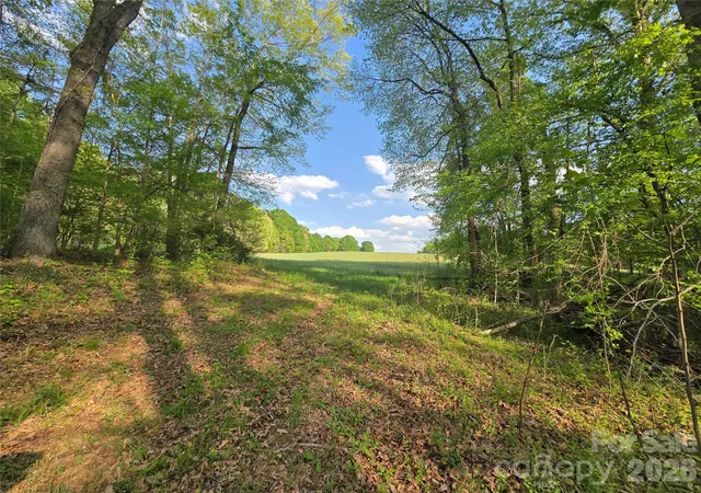 4th image of 0 Nc 801 Hwy, Mt Ulla, NC 28125 | MLS# 4367052
