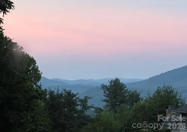 Homes for sale in Hendersonville, NC | 315 Crossvine Trl, Hendersonville, NC 28739 | MLS# 4367109