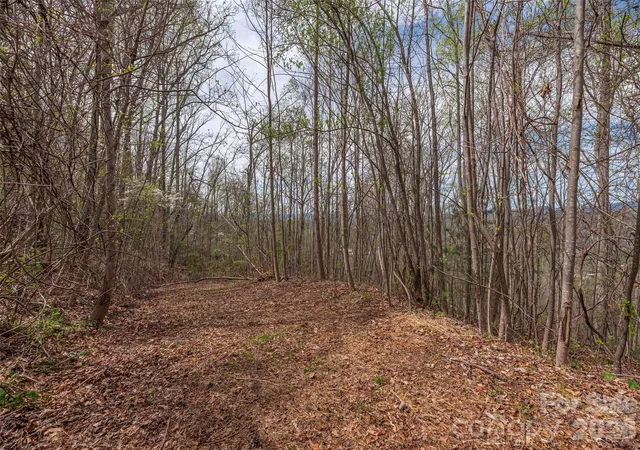 Photo 2 of Land for sale at 137 & 145 Cedar Mountain Rd, Asheville, NC 28803 | MLS# 4367230 | Listing updated on 2026-09-28