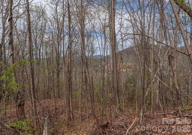 Photo 3 of Land for sale at 137 & 145 Cedar Mountain Rd, Asheville, NC 28803 | MLS# 4367230 | Listing updated on 2026-09-28