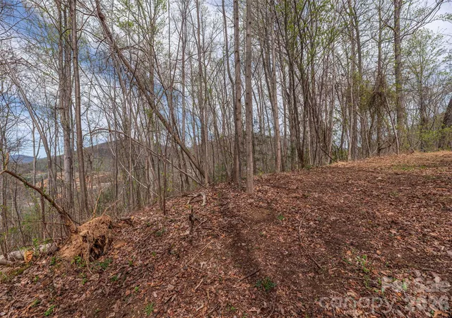 Photo 3 of Land for sale at 137 & 145 Cedar Mountain Rd, Asheville, NC 28803 | MLS# 4367230 | Listing updated on 2026-09-28