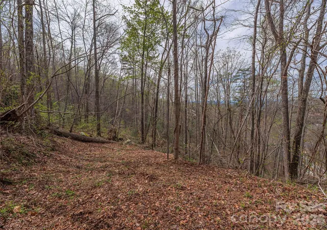 Photo 3 of Land for sale at 91 & 101 Cedar Mountain Rd, Asheville, NC 28803 | MLS# 4367255 | Listing updated on 2026-09-28