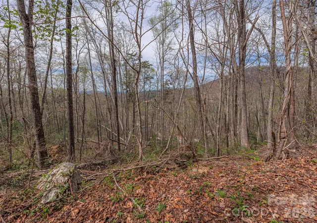 Photo 3 of Land for sale at 91 & 101 Cedar Mountain Rd, Asheville, NC 28803 | MLS# 4367255 | Listing updated on 2026-09-28