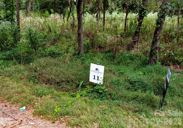 Photo 3 of Land for sale at 0 Concord Rd #11, York, SC 29745 | MLS# 4367259 | Listing updated on 2026-09-22