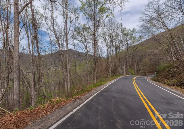 image of 111 & 125 Cedar Mountain Rd, Asheville, NC 28803 | MLS# 4367276