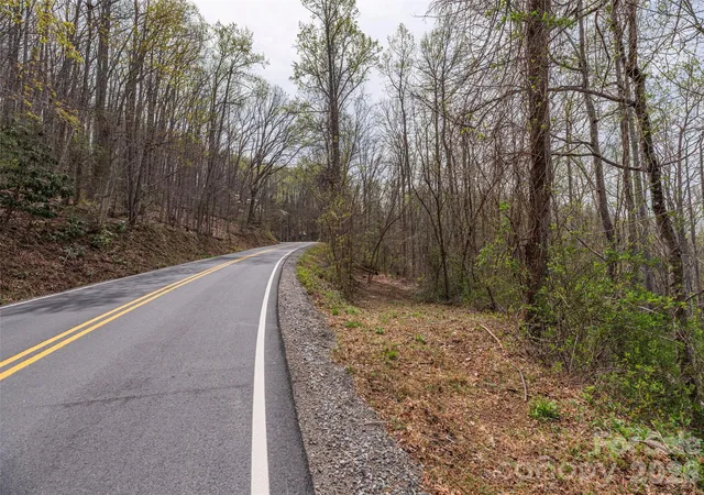 image of 111 & 125 Cedar Mountain Rd, Asheville, NC 28803 | MLS# 4367276