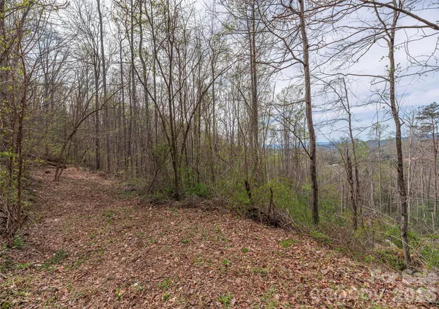 image of 111 & 125 Cedar Mountain Rd, Asheville, NC 28803 | MLS# 4367276