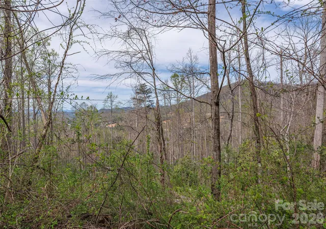 image of 111 & 125 Cedar Mountain Rd, Asheville, NC 28803 | MLS# 4367276