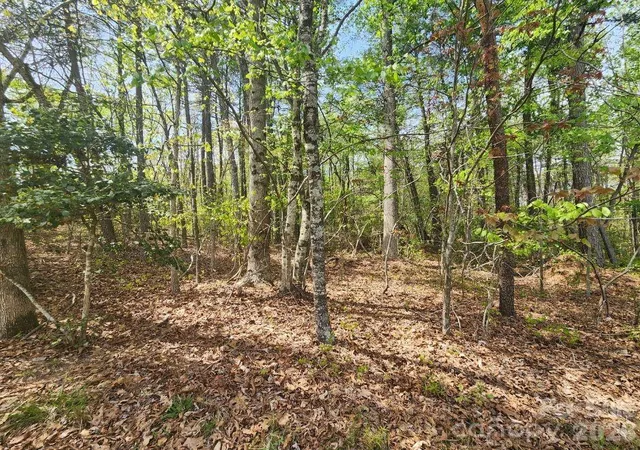 Photo 3 of Land for sale at 00 Saddlebrook Ln, Cherryville, NC 28021 | MLS# 4367377 | Listing updated on 2026-07-15
