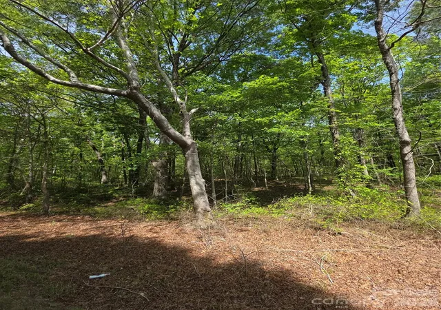3rd image of 6515 Wolf Pond Rd, Monroe, NC 28112 | MLS# 4367406