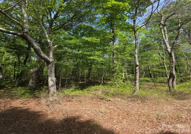 4th image of 6515 Wolf Pond Rd, Monroe, NC 28112 | MLS# 4367406