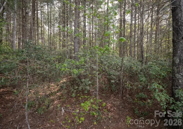Photo 3 of Land for sale at 103 Big Tree Way, Nebo, NC 28761 | MLS# 4367417 | Listing updated on 2026-04-09