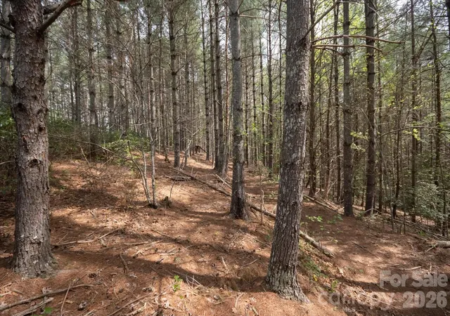 Photo 4 of Land for sale at 103 Big Tree Way, Nebo, NC 28761 | MLS# 4367417 | Listing updated on 2026-04-09
