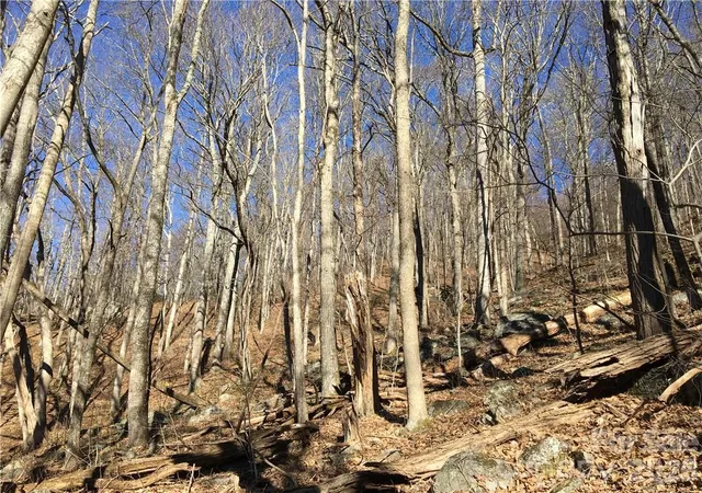 Photo 3 of Land for sale at 99999 Red Oak Forest Rd, Fairview, NC 28730 | MLS# 4367612 | Listing updated on 2026-04-17