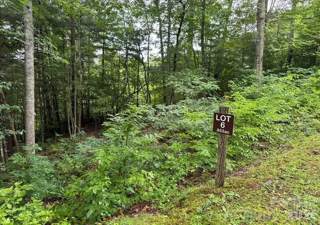 Homes for sale in Sylva, NC | Lot 6 Garnet Rd, Sylva, NC 28779 | MLS# 4367724