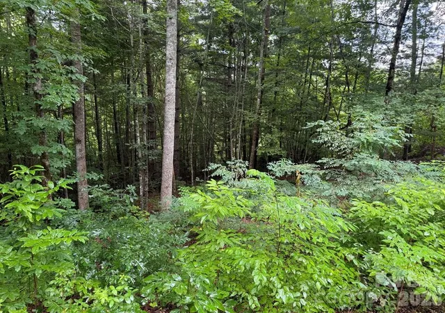 Homes for sale in Sylva, NC | Lot 6 Garnet Rd, Sylva, NC 28779 | MLS# 4367724