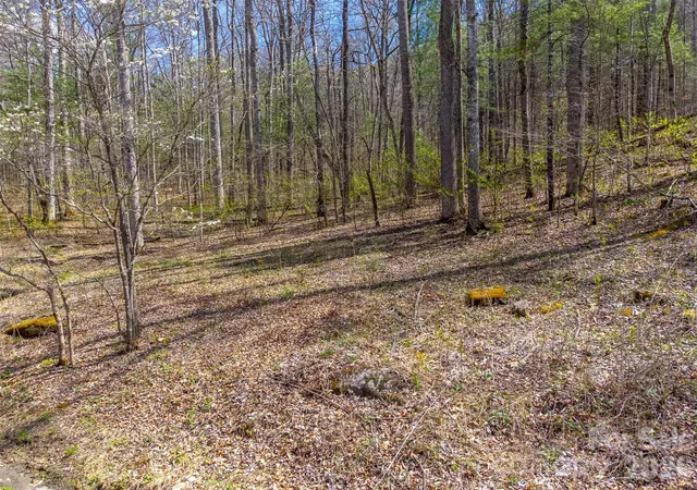 Photo 1 of Land for sale at 306 Cedar Crk Farm Rd, Tuckasegee, NC 28783 | MLS# 4367809 | Listing updated on 2026-05-11