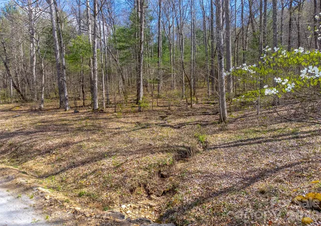 Photo 2 of Land for sale at 306 Cedar Crk Farm Rd, Tuckasegee, NC 28783 | MLS# 4367809 | Listing updated on 2026-05-11