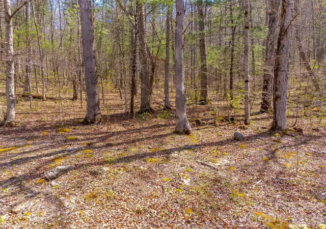 Photo 4 of Land for sale at 306 Cedar Crk Farm Rd, Tuckasegee, NC 28783 | MLS# 4367809 | Listing updated on 2026-05-11