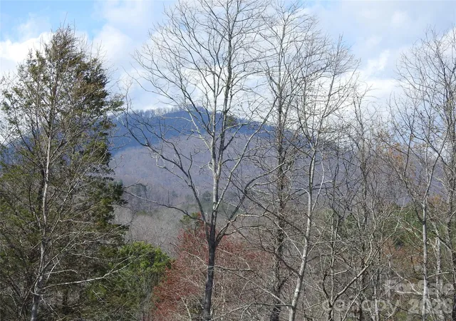 4th image of 00 Laurel Lakes Pkwy #2, Lake Lure, NC 28746 | MLS# 4367814