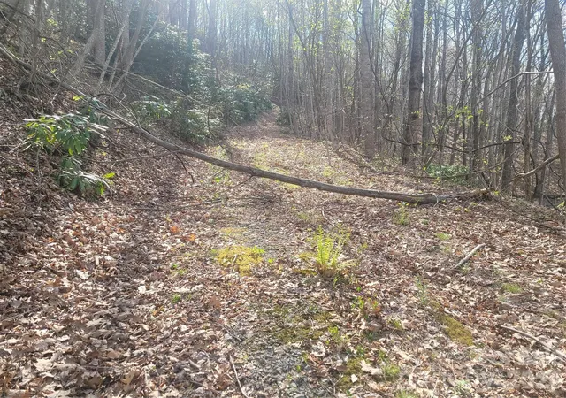 Photo 4 of Land for sale at 9999 Lytle Cvs Rd, Swannanoa, NC 28778 | MLS# 4367867 | Listing updated on 2026-04-17