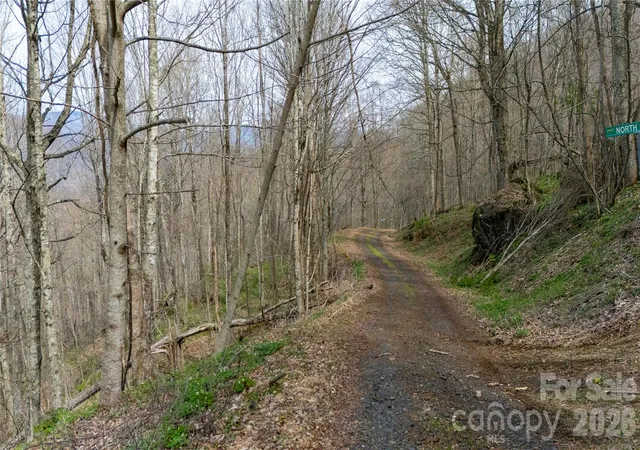 Homes for sale in Bakersville, NC | 000 Tyler Ln, Bakersville, NC 28705 | MLS# 4368019