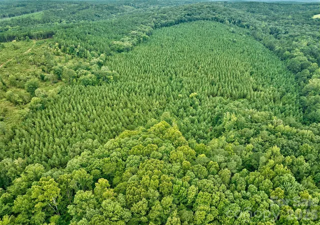 Photo 4 of Land for sale at 21 US Hwy, Ridgeway, SC 29130 | MLS# 4368211 | Listing updated on 2026-06-08