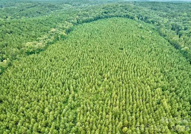 Photo 5 of Land for sale at 21 US Hwy, Ridgeway, SC 29130 | MLS# 4368211 | Listing updated on 2026-06-08