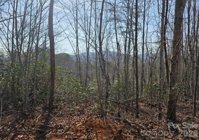 Homes for sale in Old Fort, NC | Lot 8 Kerlee Ln, Old Fort, NC 28762 | MLS# 4368311