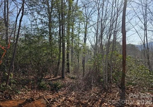 Homes for sale in Old Fort, NC | Lot 8 Kerlee Ln, Old Fort, NC 28762 | MLS# 4368311