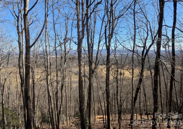 5th image of 4 Wild Dogwood Trl, Mills River, NC 28759 | MLS# 4368433