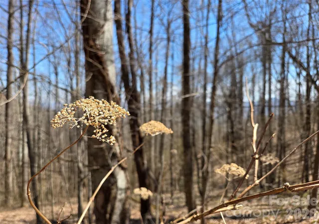 Land for sale at 200 Wolverine Ct #44, Waynesville, NC 28785 | MLS# 4368465
