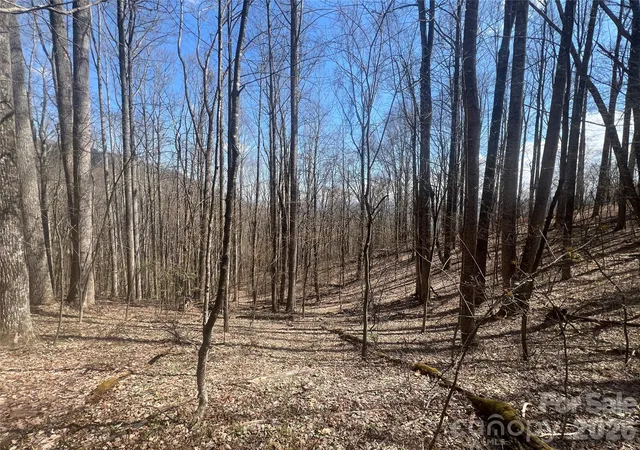 Homes for sale in Waynesville, NC | 200 Wolverine Ct #44, Waynesville, NC 28785 | MLS# 4368465