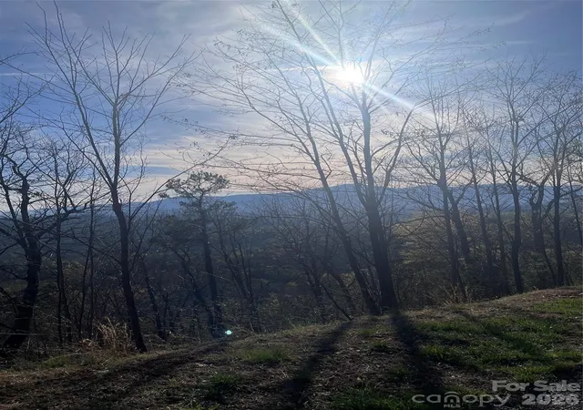 3rd image of 0 Golden Ridge Dr #131, Lake Lure, NC 28746 | MLS# 4368466