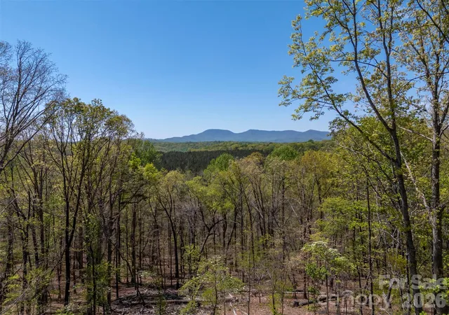 Homes for sale in Columbus, NC | 2825 River Rd, Columbus, NC 28722 | MLS# 4368569