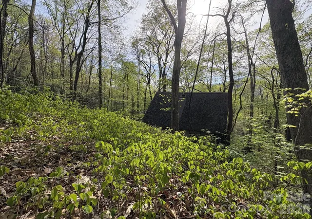 1st image of 999999 Harwood Rd, Barnardsville, NC 28709 | MLS# 4368570