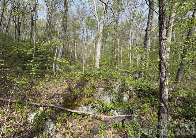 27th image of 999999 Harwood Rd, Barnardsville, NC 28709 | MLS# 4368570