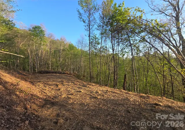 Photo 3 of Land for sale at 3355 Utah Mountain Rd #3-F, Waynesville, NC 28785 | MLS# 4368748 | Listing updated on 2026-09-21
