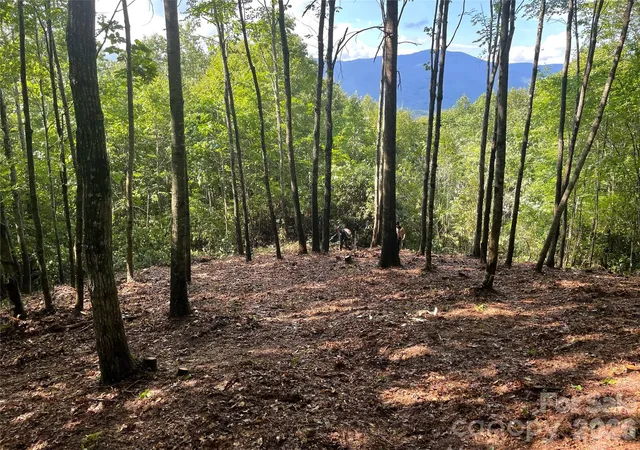 Photo 2 of Land for sale at Lt 239 Dl The Hl Rd #239, Sylva, NC 28779 | MLS# 4368972 | Listing updated on 2026-04-13