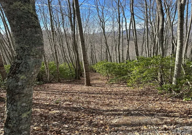 Photo 3 of Land for sale at Lt 239 Dl The Hl Rd #239, Sylva, NC 28779 | MLS# 4368972 | Listing updated on 2026-04-13