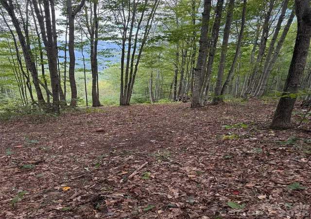 Photo 5 of Land for sale at Lt 262 Tote Rd #262, Sylva, NC 28779 | MLS# 4368991 | Listing updated on 2026-06-09