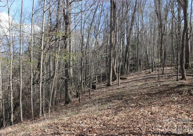 Homes for sale in Green Mountain, NC | 00 Scenic View Dr #1 & 2, Green Mountain, NC 28740 | MLS# 4369069